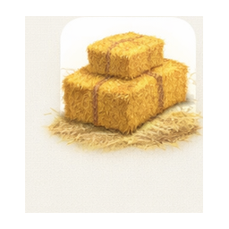 Hay production