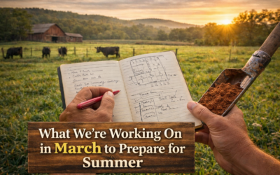 What We’re Working On in March to Prepare for Summer